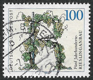 [The 500th Anniversary of the Viticulture of Riesling, type ATT]