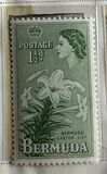 [Local Motives and Queen Elizabeth II, type AZ]