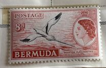 [Local Motives and Queen Elizabeth II, type BF1]
