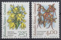 [Arctic Orchids, type GJ]