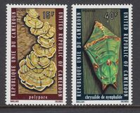 [Natural History, tipas RH]