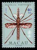 [Malaria Eradication, Typ DJ]