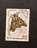 [Butterflies & Moths, type BTK]