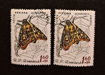 [Butterflies & Moths, type BTK]