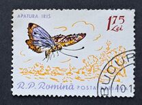 [Butterflies & Moths, type BTL]