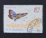 [Butterflies & Moths, type BTL]