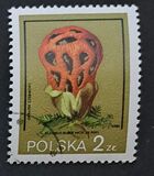 [Protected Poisonous Mushrooms, type CHV]