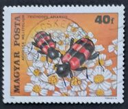 [Insects Polinating Flowers, type DUC]