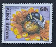[Insects Polinating Flowers, type DUD]