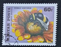 [Insects Polinating Flowers, type DUD]