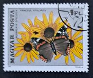 [Insects Polinating Flowers, type DUE]