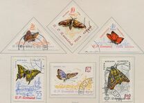 [Butterflies & Moths, type BTG]