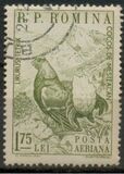 [Animals, type BQD]