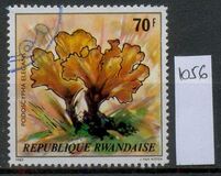 [Mushrooms, tipas AHK]