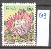 [Flora - Protea Plants, type PK]