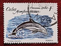 [Marine Mammals, тип DAY]