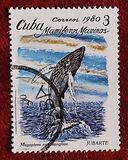 [Marine Mammals, тип DAZ]