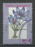 [Flowers - Crocuses, tyyppi CTI]