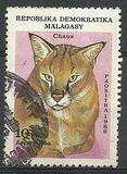 [Wild Cats, typ AFQ]