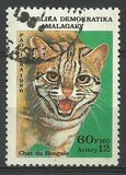 [Wild Cats, typ AFT]