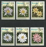 [Aquatic Flowers, Typ BCG]