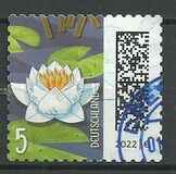 [World of Letters, тип DQN]