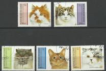[Cats, type APH]