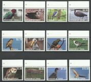 [Birds - White Frame, jenis BKJ]