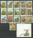 [Flora - Protea Plants, type PG]