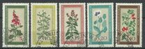 [Medicinal Plants, տեսակ OK]