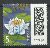 [Мир писем, тип DQN]