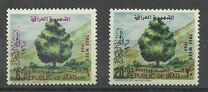 [Tree Week, Tüüp DH]