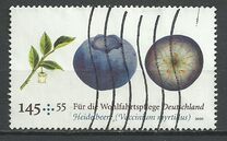 [Fruits, Tüüp CQM]