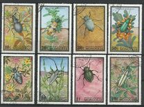[Beetles, type XP]