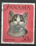 [Domestic Animals, type TR]