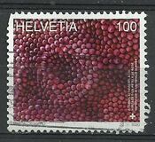 [Microscopic Art, type CXT]