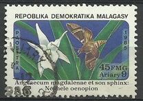 [Flowers and Butterflies, Вид AEO]