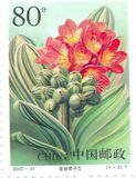 [Chinese New Year - Year of the Dragon, type DMT]