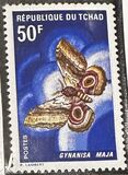 [Butterflies and Moths, type ET]