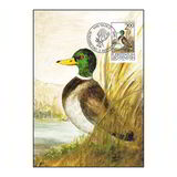 [Birds - Hunting, Tip AIR]