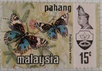 [Butterflies, tip AT]