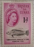 [Queen Elizabeth II and Marine Life, tyyppi AC]