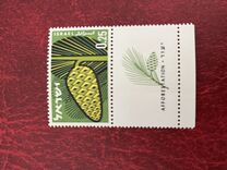 [Afforestation Achievements, Tipi HS]