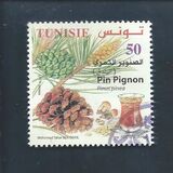 [Pine Trees, type BBQ]