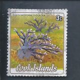 [Cnidarias, type SVB]