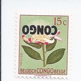 [Fiori - Tipografia: Courvoisier (Helio Courvoisier) S. A., Scrivi EE]