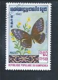[Butterflies, סוג KG]