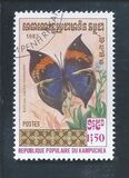 [Butterflies, סוג KJ]