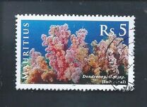 [Corals, type AFN]