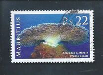 [Corals, type AFQ]